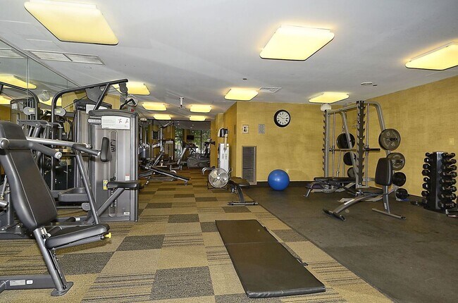 Building Photo - 1 Bed 1 Bath - Rockville Condo - Completel...