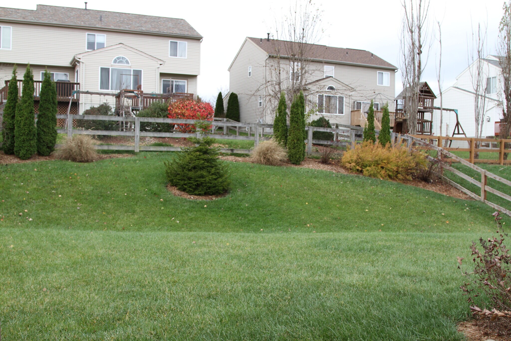 back yard - 9168 Belvedere Ct