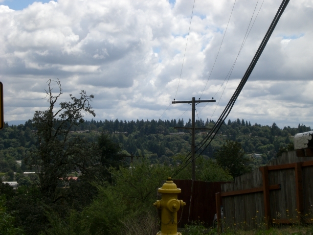 Other - Mt. View Cottages