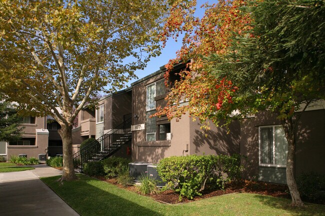 Building Photo - Mosaic Gardens at Taylor Terrace