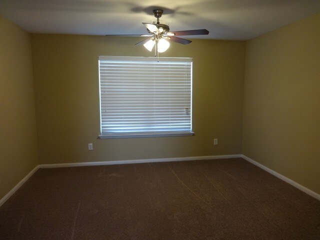 Building Photo - 4615 Trinity River Ct