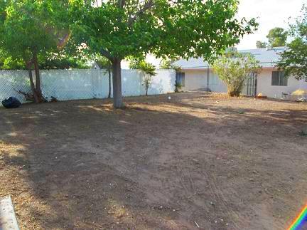 Building Photo - 213 Ash St