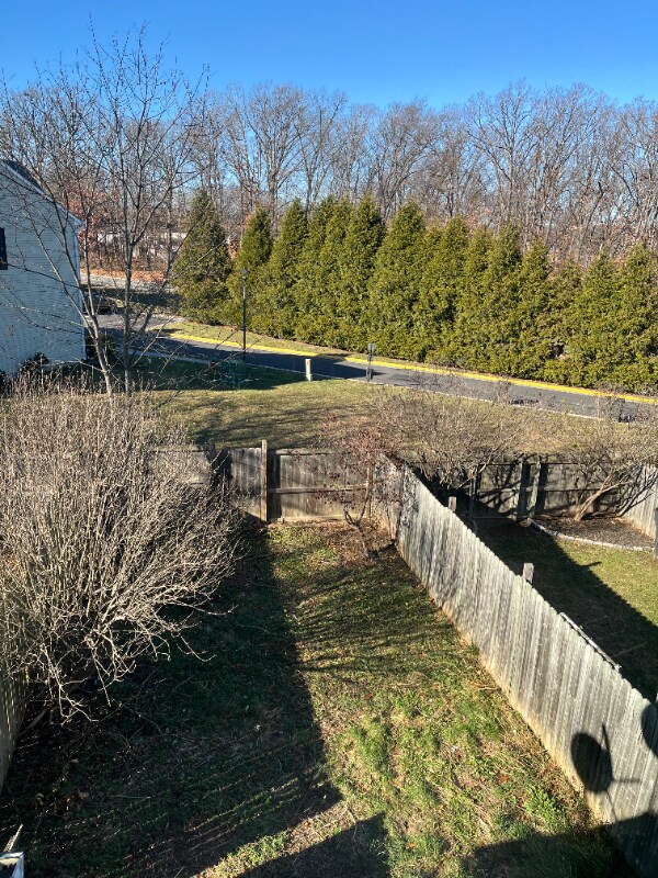 Building Photo - 225 Sherando Cir