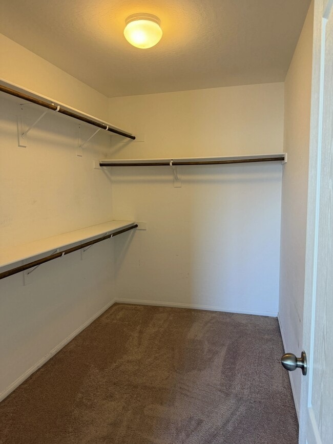 Building Photo - 10743 Centerville Bay Ct
