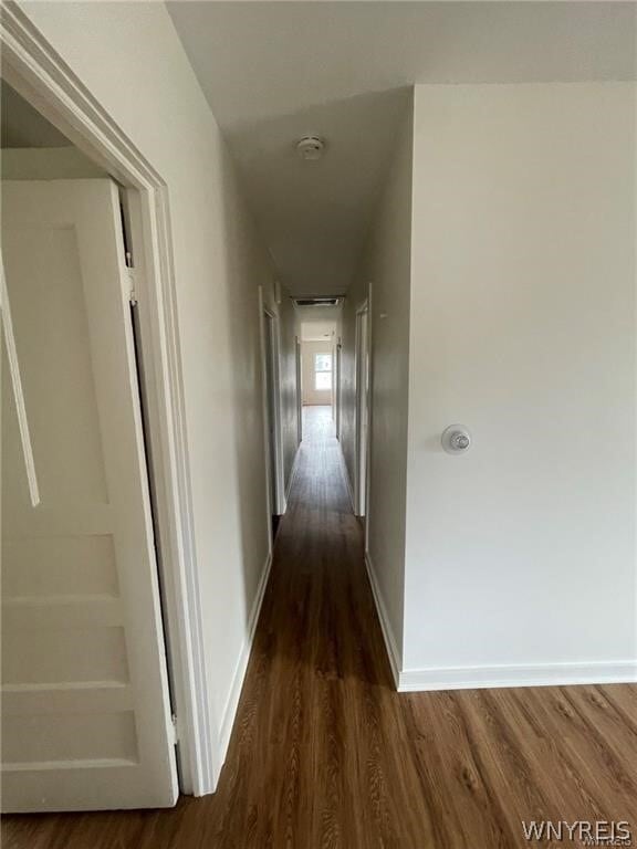 Building Photo - 1015 Elmwood Ave