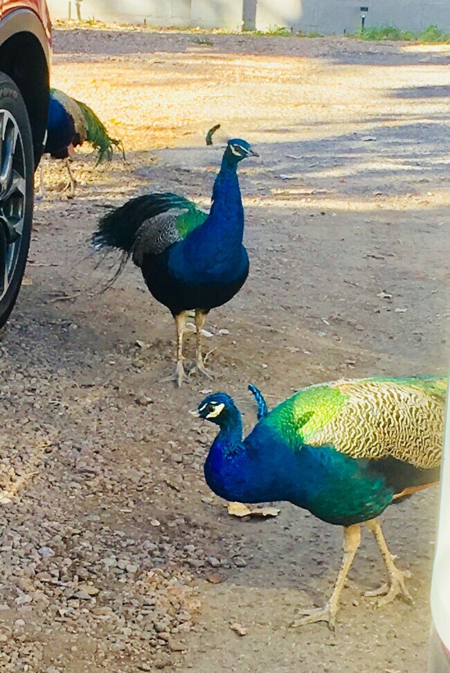 Building Photo - 2248 Matthew Ave