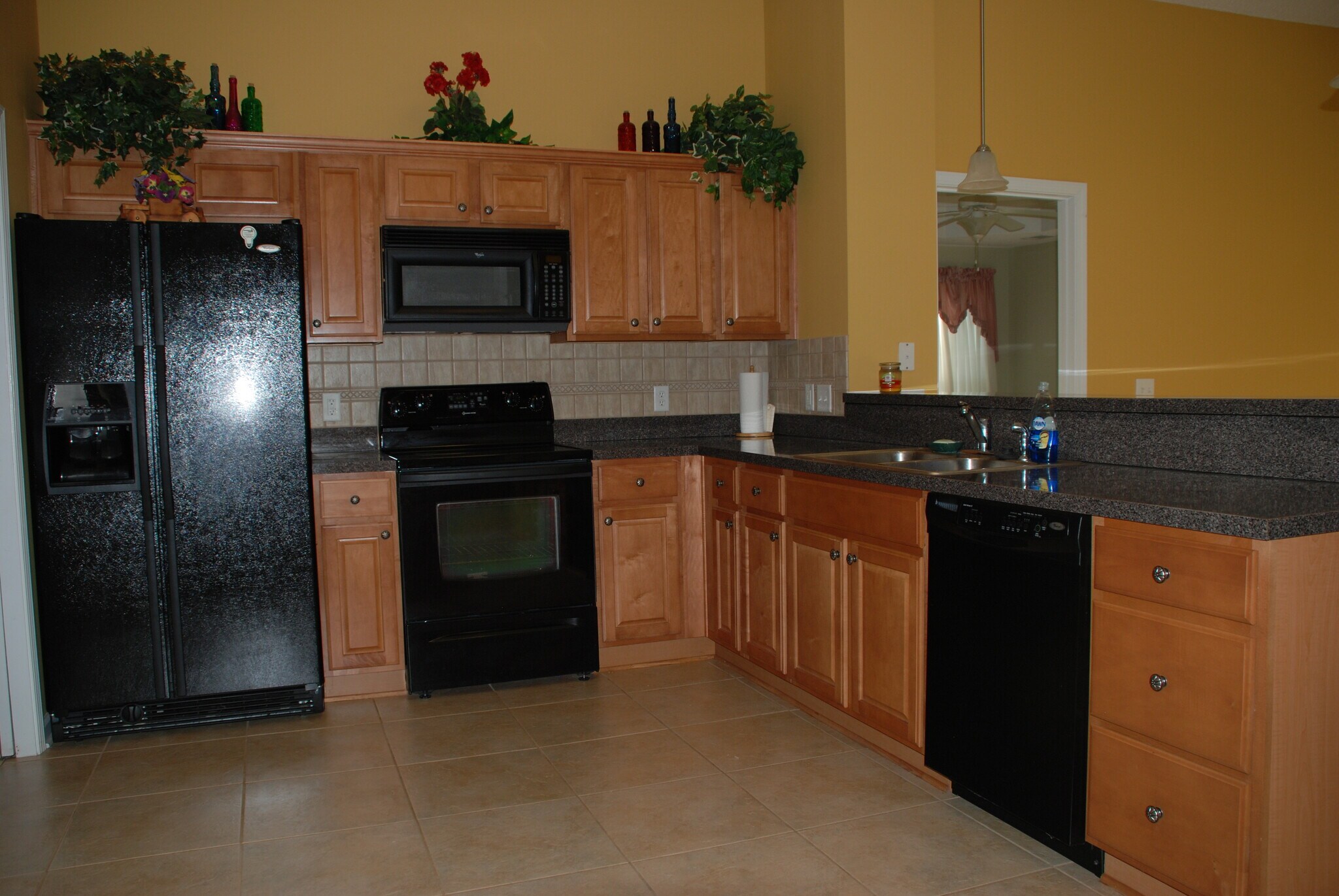 Kitchen - 145 White Dogwood Ln