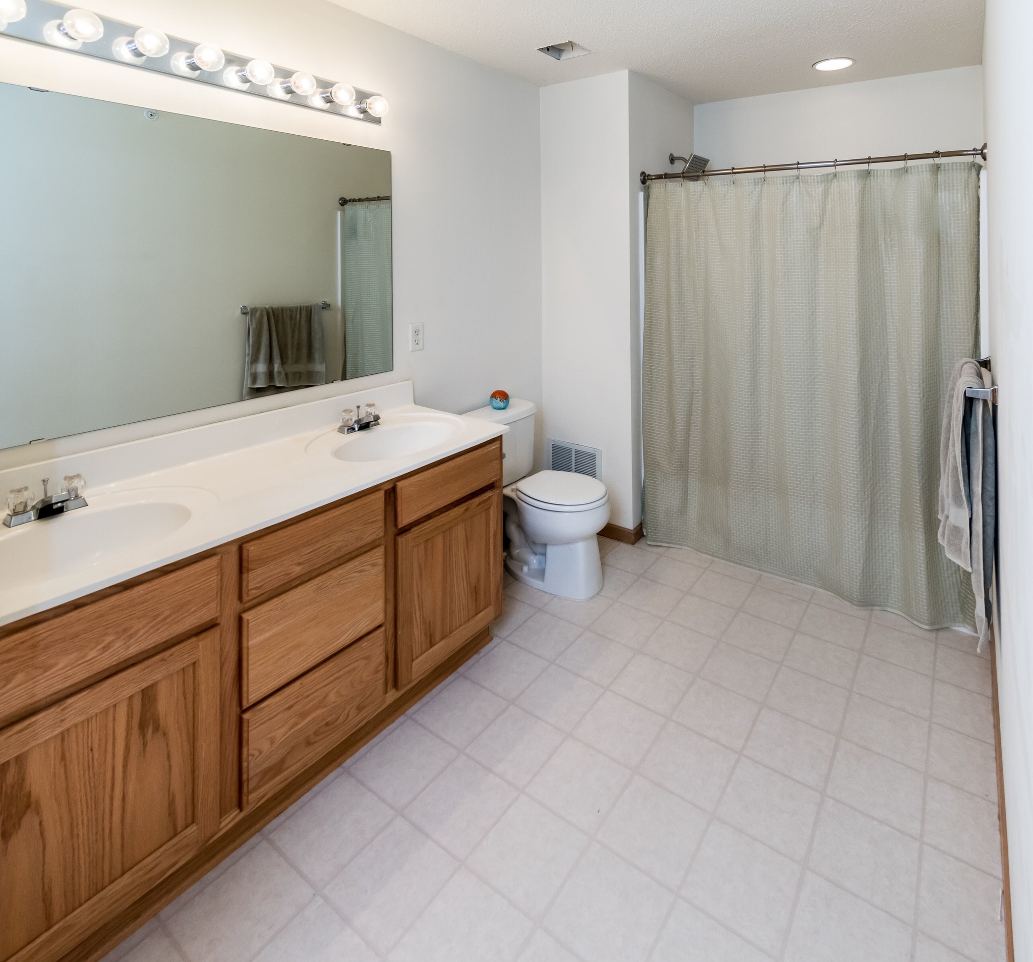 Primary bathroom. - 1102 Bergmann Dr