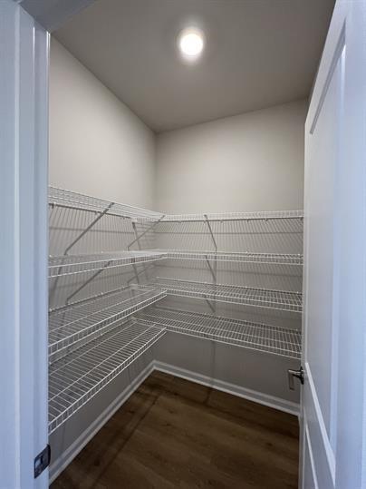 Building Photo - 2267 Graywell Ln