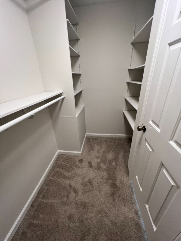 Building Photo - 2686 Douglas Ln