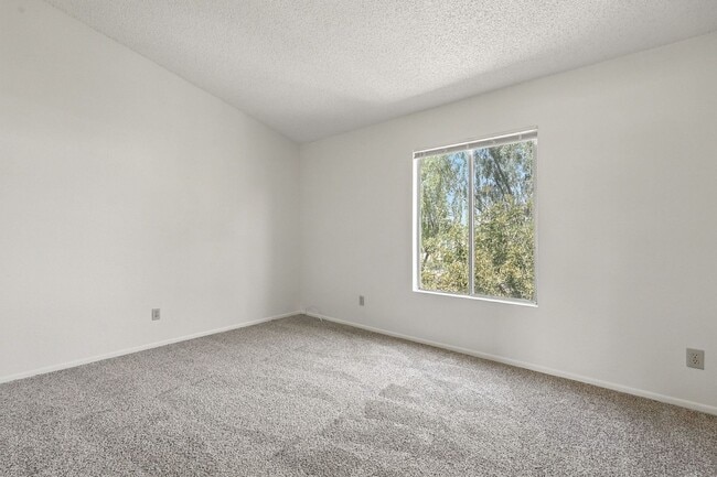 Building Photo - Brand new carpet!