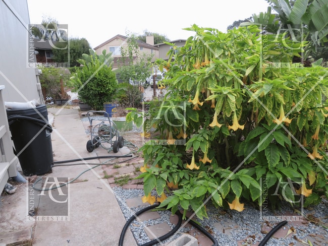 Building Photo - 3 bed 1.5 bath Home upper westside