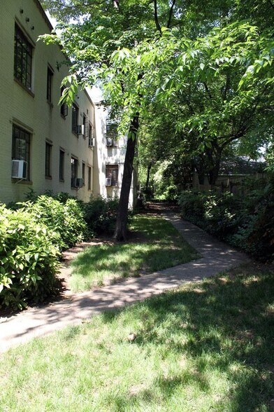 Tree lined walk in back - 1121 Myrtle Ave