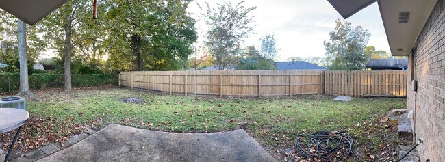 Backyard - 323 Hunter Dr