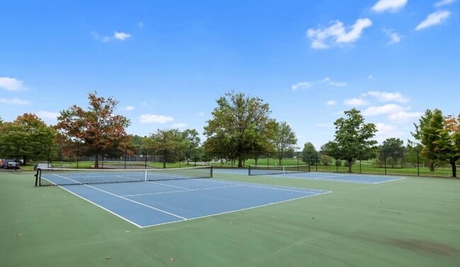 Tennis courts - 1137 Huntmaster Ter NE