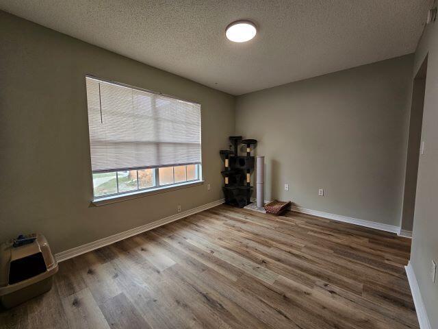 Building Photo - 1305 Jefferyscot Ct