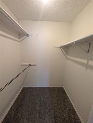 Building Photo - 7431 Holly Hill Dr