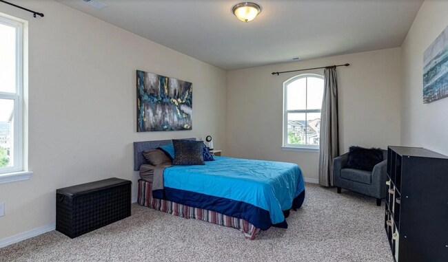Building Photo - 2638 Ambience Ln