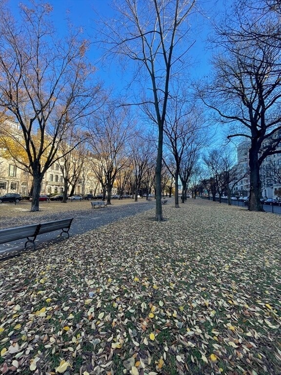 Building Photo - 416 Commonwealth Ave