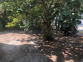 Building Photo - 3200 NE 5th Ct