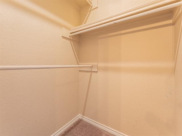 Building Photo - 210 Sendero Dr