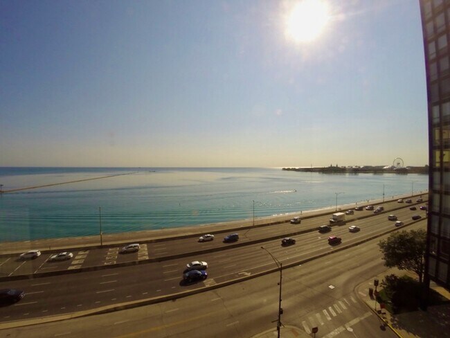 Building Photo - 900 N Lake Shore Dr