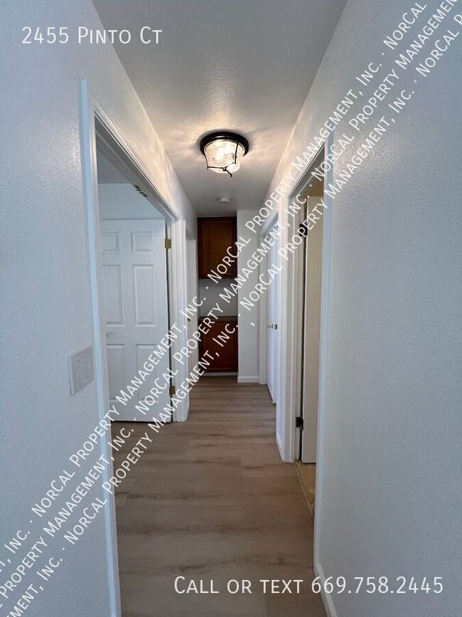 Building Photo - 2455 Pinto Ct