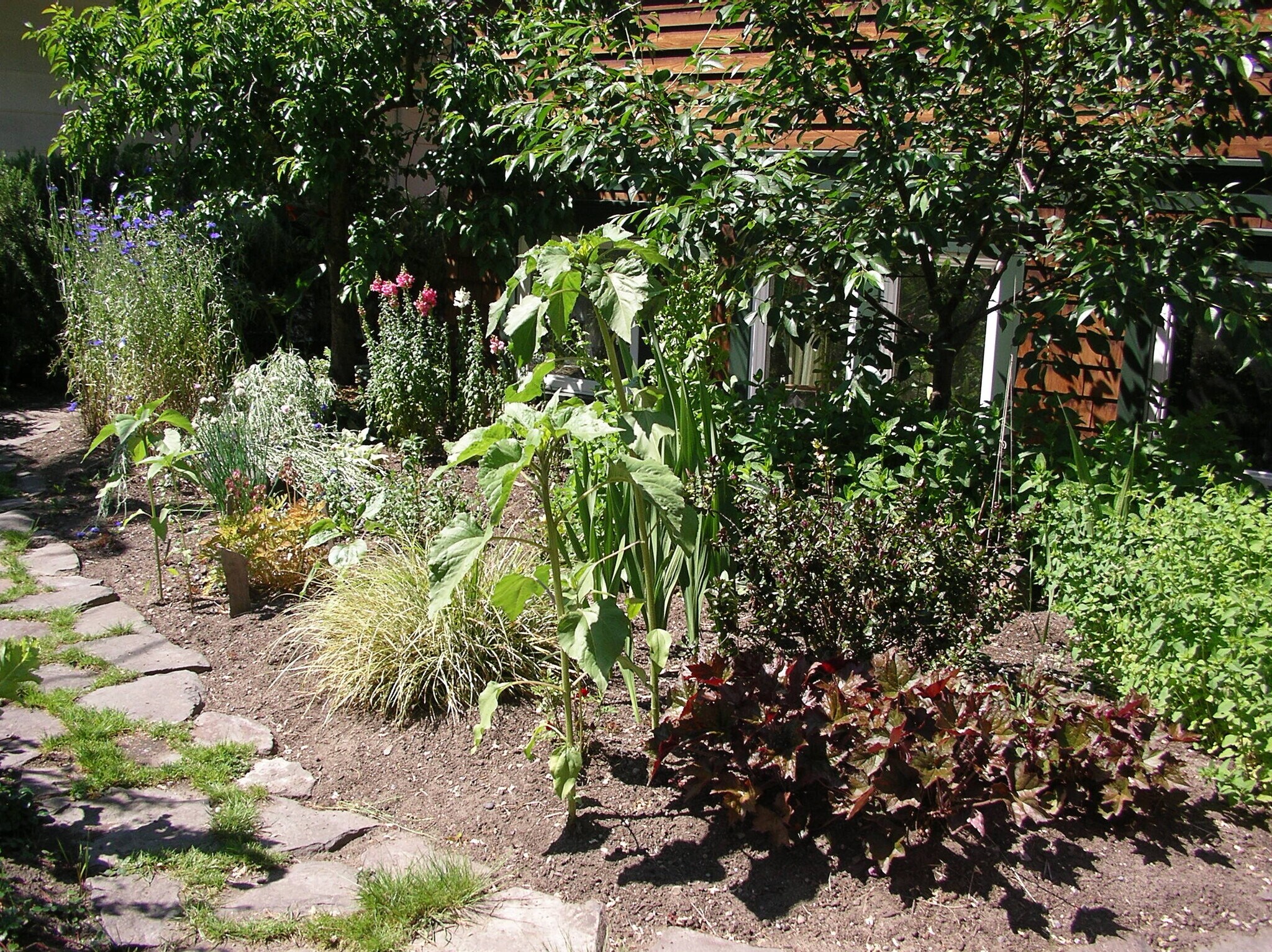 Garden - 106 NW 56th St