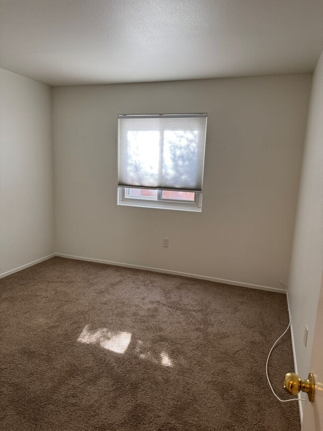 Building Photo - New Carpet and Fresh Paint