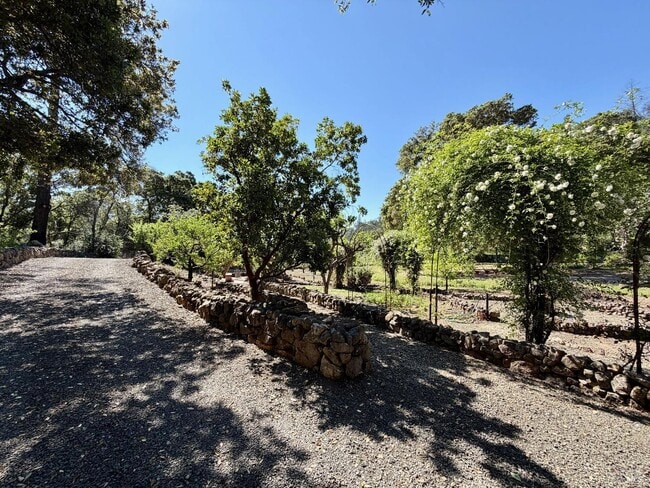 Building Photo - 321 Dutch Henry Canyon Rd