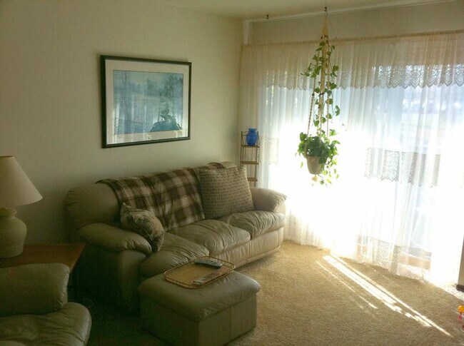 Building Photo - Affordable one bedroom apartment in Stough...
