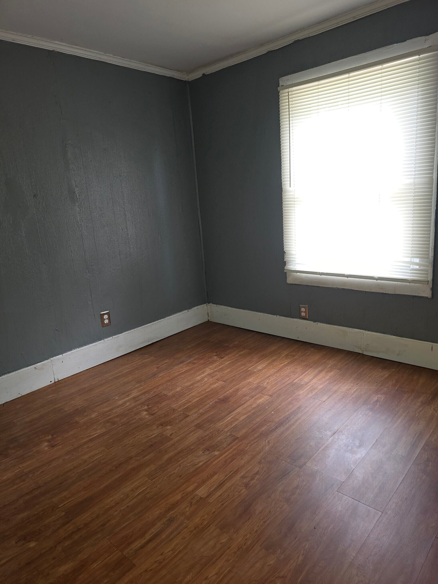 Building Photo - 3783 San Juan Ave
