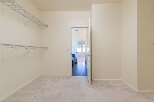 Building Photo - Beautiful 4 Bed, 3.5 bath home in SE Fort Collins