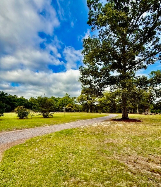 Building Photo - 4412 Wesley Rd