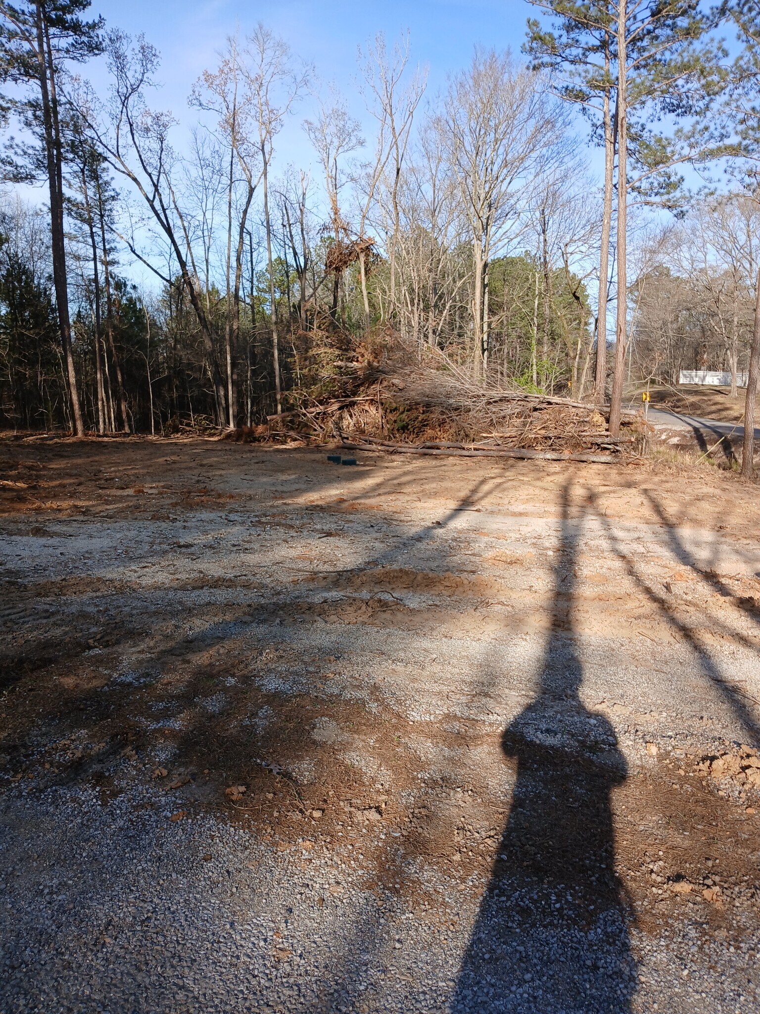 Building Photo - 161 Carpenters Ln