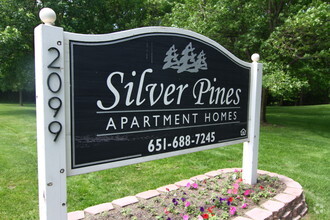 Primary Photo - Silver Pines