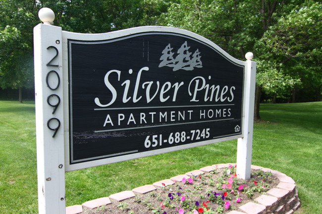 Primary Photo - Silver Pines