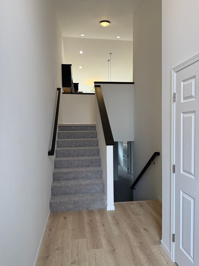 Building Photo - Brand New South End 4 bed/2 bath