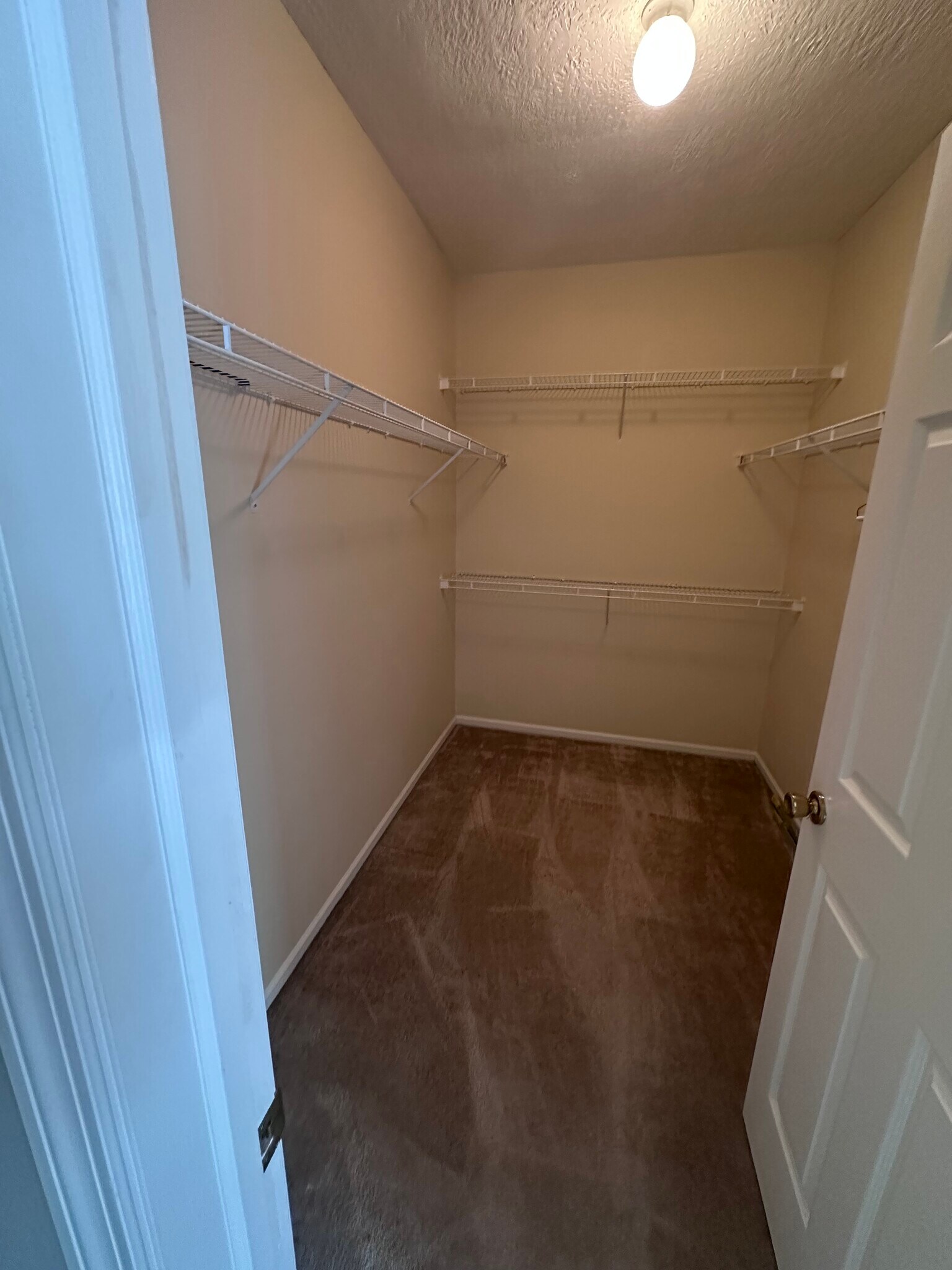Building Photo - 6015 Craughwell Ln