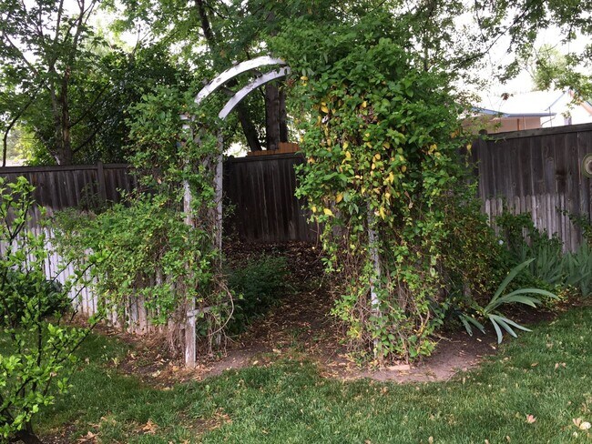 Building Photo - Great 3 bed 2 bath home in downtown Eagle.