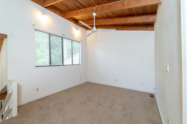 Building Photo - 1311 Rumba Ln
