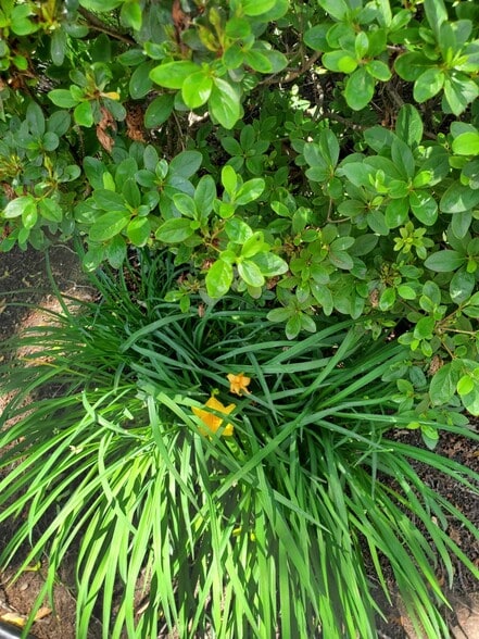 Building Photo - 100 Huguenot Ave