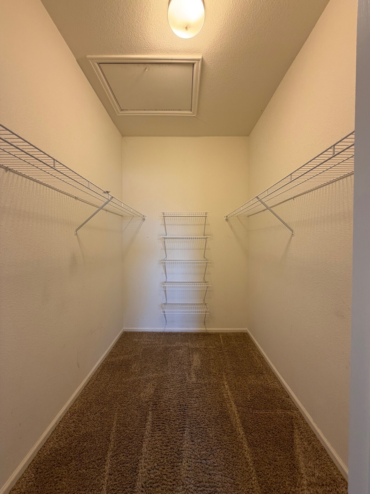 Building Photo - 1495 Blue Sky Way