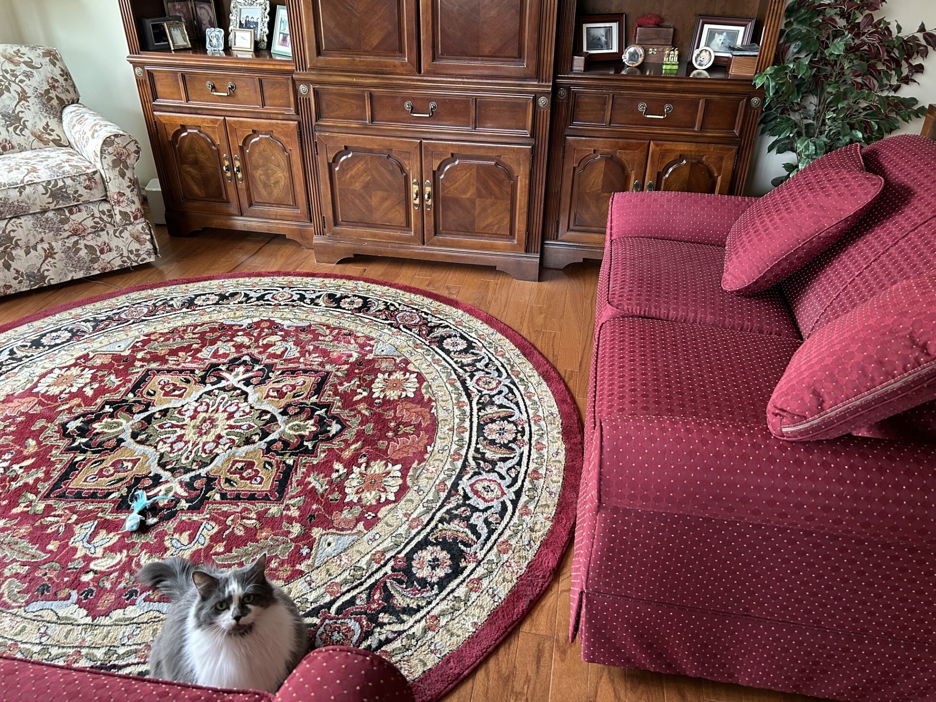 Building Photo - 4401 Roland Ave