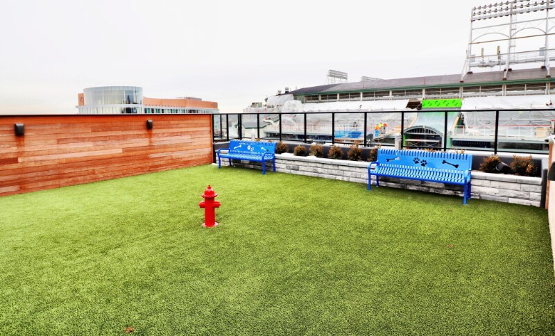 Building Photo - 1040 W Addison St