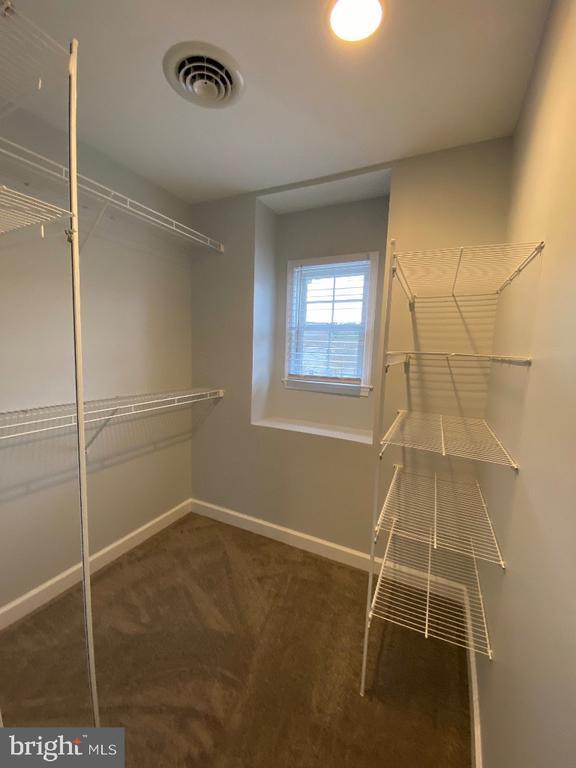 Building Photo - 28447 Pinehurst Cir