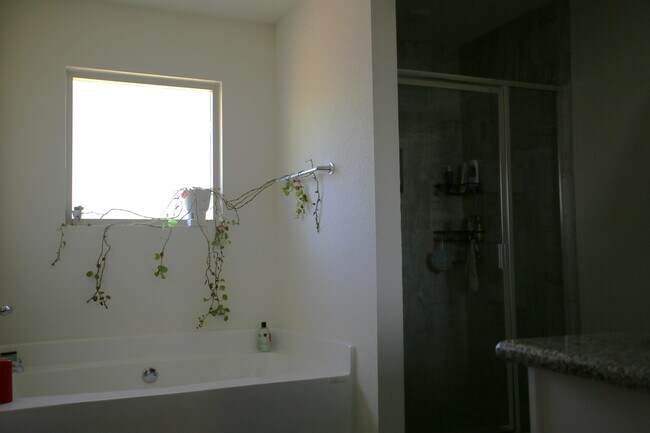 Building Photo - 6342 Red Pepper Dr