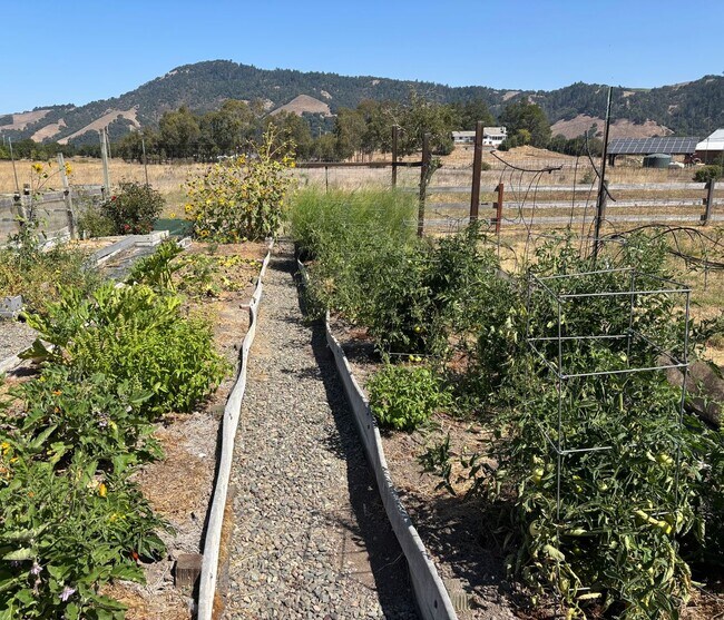 Building Photo - 6 Acres; 3 bedroom 2.5 bath plus bonus roo...