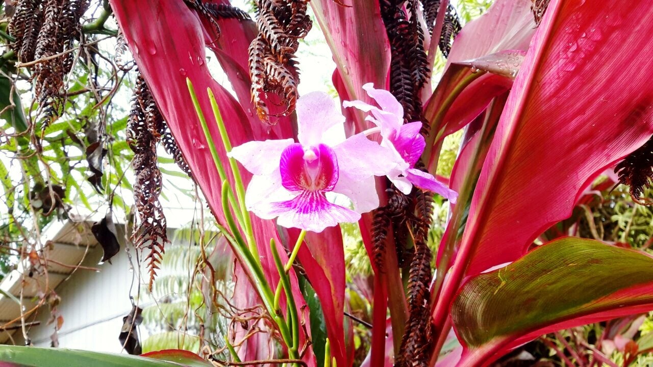 Building Photo - 15-1414 24th Ave