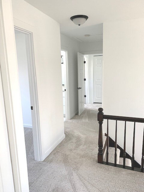 Building Photo - 1329 Neskola Ct